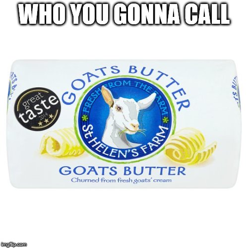 who you gonna call |  WHO YOU GONNA CALL | image tagged in funny,memes | made w/ Imgflip meme maker