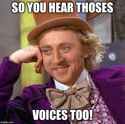 Creepy Condescending Wonka Meme | SO YOU HEAR THOSES VOICES TOO! | image tagged in memes,creepy condescending wonka | made w/ Imgflip meme maker