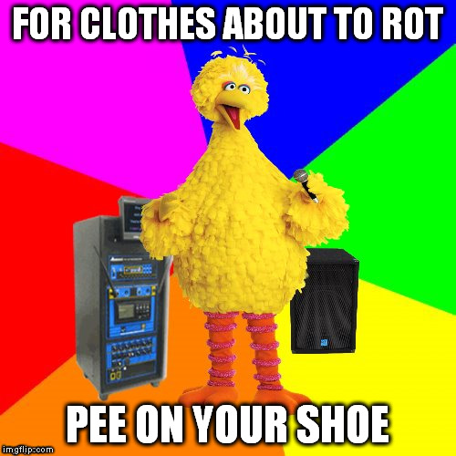 Wrong lyrics karaoke big bird | FOR CLOTHES ABOUT TO ROT; PEE ON YOUR SHOE | image tagged in wrong lyrics karaoke big bird | made w/ Imgflip meme maker