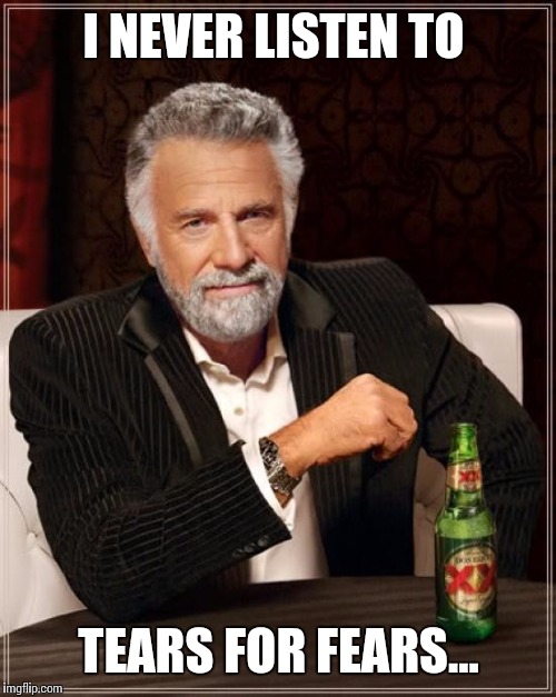 The Most Interesting Man In The World Meme | I NEVER LISTEN TO TEARS FOR FEARS... | image tagged in memes,the most interesting man in the world | made w/ Imgflip meme maker