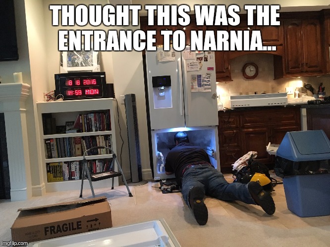 THOUGHT THIS WAS THE ENTRANCE TO NARNIA... | image tagged in man in freezer | made w/ Imgflip meme maker