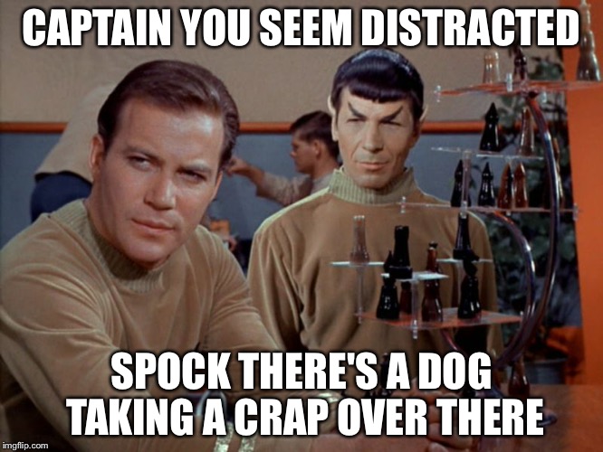 Three dimensional chess requires concentration | CAPTAIN YOU SEEM DISTRACTED; SPOCK THERE'S A DOG TAKING A CRAP OVER THERE | image tagged in kirk and spock play chess,memes,star trek | made w/ Imgflip meme maker