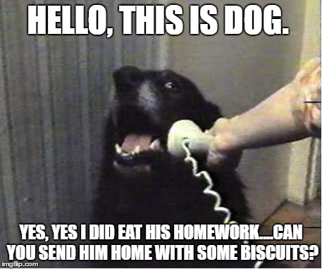 That's a good pup! | HELLO, THIS IS DOG. YES, YES I DID EAT HIS HOMEWORK....CAN YOU SEND HIM HOME WITH SOME BISCUITS? | image tagged in yes this is dog | made w/ Imgflip meme maker