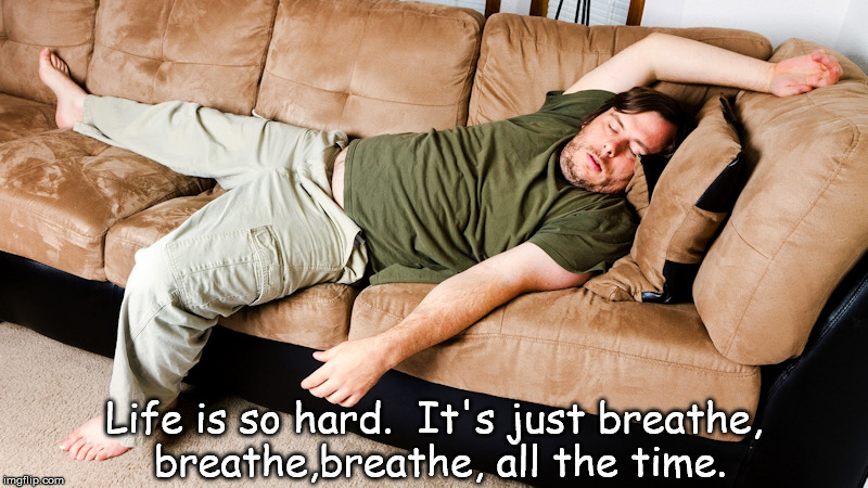 Life is so hard.  It's just breathe, breathe,breathe, all the time. | image tagged in life is so hard | made w/ Imgflip meme maker