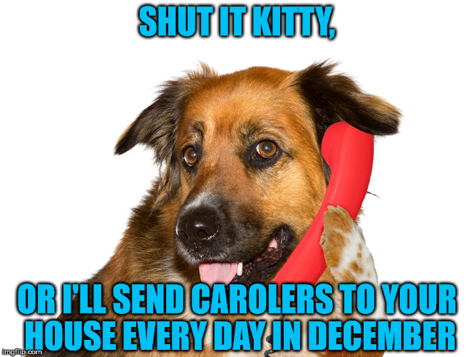 SHUT IT KITTY, OR I'LL SEND CAROLERS TO YOUR HOUSE EVERY DAY IN DECEMBER | image tagged in dog on the phone | made w/ Imgflip meme maker