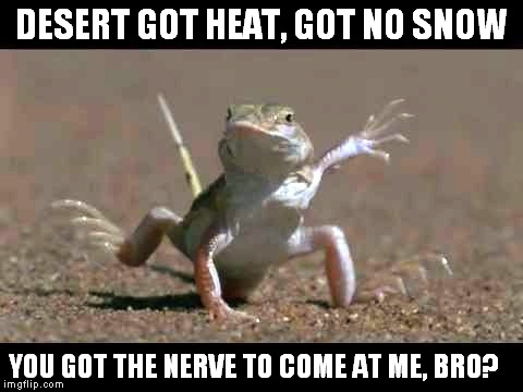 Lizard Got Cool | DESERT GOT HEAT, GOT NO SNOW; YOU GOT THE NERVE TO COME AT ME, BRO? | image tagged in come at me bro,lizards,desert,challenge | made w/ Imgflip meme maker