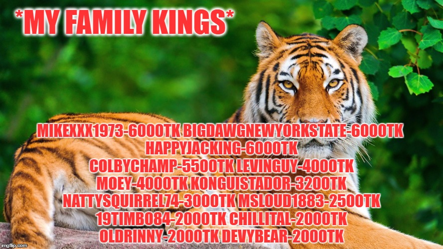 *MY FAMILY KINGS*; MIKEXXX1973-6000TK BIGDAWGNEWYORKSTATE-6000TK HAPPYJACKING-6000TK COLBYCHAMP-5500TK LEVINGUY-4000TK MOEY-4000TK KONGUISTADOR-3200TK NATTYSQUIRREL74-3000TK MSLOUD1883-2500TK 19TIMBO84-2000TK CHILLITAL-2000TK OLDRINNY-2000TK DEVYBEAR-2000TK | made w/ Imgflip meme maker