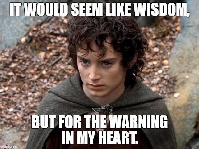 Frodo - Amon Hen | IT WOULD SEEM LIKE WISDOM, BUT FOR THE WARNING IN MY HEART. | image tagged in frodo - amon hen | made w/ Imgflip meme maker