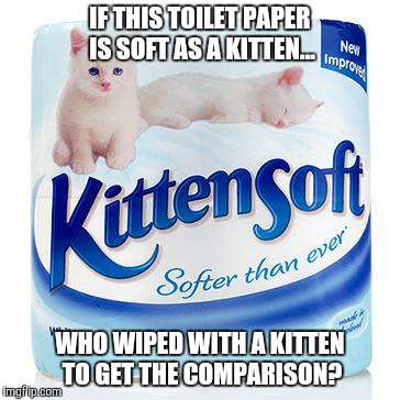 Always wondered | IF THIS TOILET PAPER IS SOFT AS A KITTEN... WHO WIPED WITH A KITTEN TO GET THE COMPARISON? | image tagged in cats,toilet paper | made w/ Imgflip meme maker