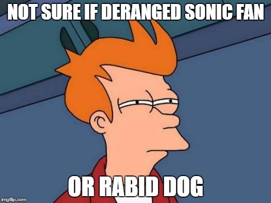 This Only Applies To Some. (Don't Kill Me Please...) | NOT SURE IF DERANGED SONIC FAN; OR RABID DOG | image tagged in memes,futurama fry,sonic fans,sonic the hedgehog | made w/ Imgflip meme maker