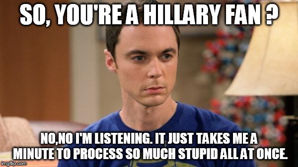 Sheldon Logic | SO, YOU'RE A HILLARY FAN ? NO,NO I'M LISTENING. IT JUST TAKES ME A MINUTE TO PROCESS SO MUCH STUPID ALL AT ONCE. | image tagged in sheldon logic | made w/ Imgflip meme maker