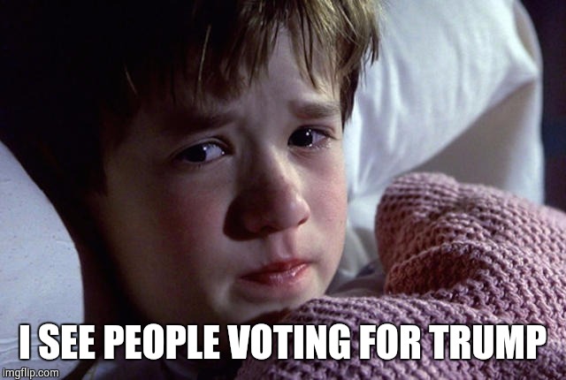 Self-explanatory | I SEE PEOPLE VOTING FOR TRUMP | image tagged in trump 2016,donald trump,politics,funny,memes,hollywood | made w/ Imgflip meme maker