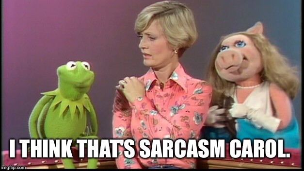 I THINK THAT'S SARCASM CAROL. | made w/ Imgflip meme maker