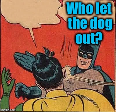 Batman Slapping Robin Meme | Who let the dog out? | image tagged in memes,batman slapping robin | made w/ Imgflip meme maker