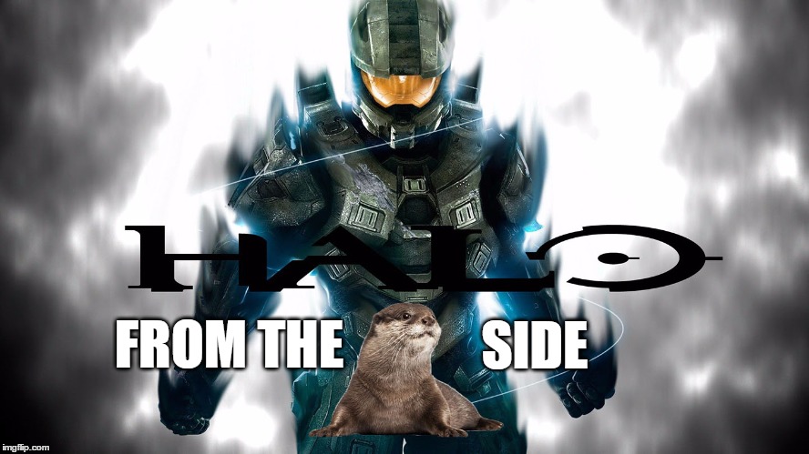 Halo from the otter side | FROM THE; SIDE | image tagged in halo otter,adele,adele hello | made w/ Imgflip meme maker