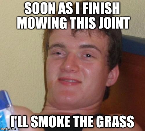 10 Guy | SOON AS I FINISH MOWING THIS JOINT; I'LL SMOKE THE GRASS | image tagged in memes,10 guy | made w/ Imgflip meme maker