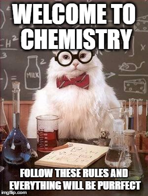 Chemistry Cat | WELCOME TO CHEMISTRY; FOLLOW THESE RULES AND EVERYTHING WILL BE PURRFECT | image tagged in chemistry cat | made w/ Imgflip meme maker