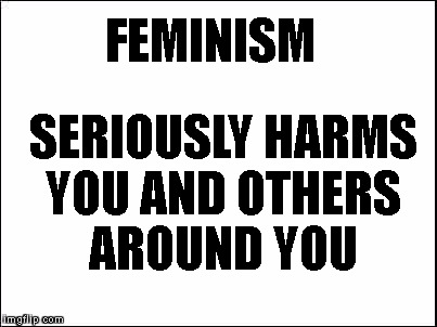 blank | FEMINISM; SERIOUSLY HARMS YOU AND OTHERS AROUND YOU | image tagged in blank | made w/ Imgflip meme maker