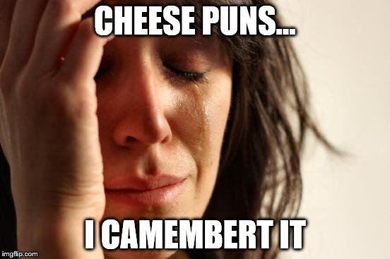 First World Problems Meme | CHEESE PUNS... I CAMEMBERT IT | image tagged in memes,first world problems | made w/ Imgflip meme maker