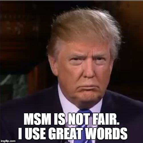 Donald Trump sulk | MSM IS NOT FAIR. I USE GREAT WORDS | image tagged in donald trump sulk | made w/ Imgflip meme maker