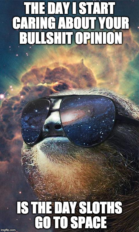 Because I stopped caring ages ago. | THE DAY I START CARING ABOUT YOUR BULLSHIT OPINION; IS THE DAY SLOTHS GO TO SPACE | image tagged in spacesloth | made w/ Imgflip meme maker