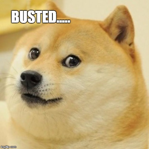 Doge Meme | BUSTED..... | image tagged in memes,doge | made w/ Imgflip meme maker