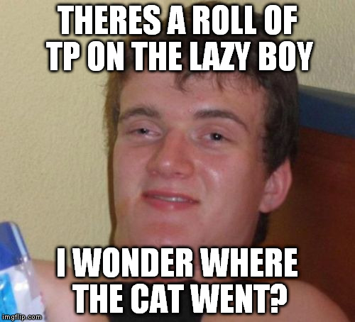 10 Guy Meme | THERES A ROLL OF TP ON THE LAZY BOY I WONDER WHERE THE CAT WENT? | image tagged in memes,10 guy | made w/ Imgflip meme maker
