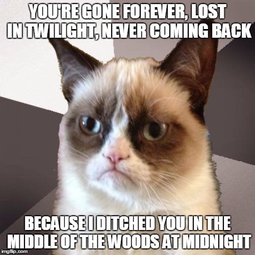 Grumpy Cat Sings Orden Ogan | YOU'RE GONE FOREVER, LOST IN TWILIGHT, NEVER COMING BACK; BECAUSE I DITCHED YOU IN THE MIDDLE OF THE WOODS AT MIDNIGHT | image tagged in musically malicious grumpy cat,memes,music,reference,heavy metal,funny | made w/ Imgflip meme maker