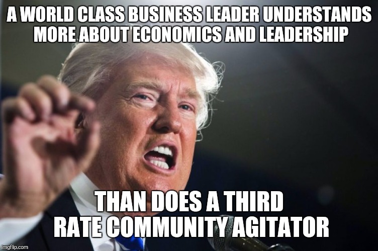 donald trump | A WORLD CLASS BUSINESS LEADER UNDERSTANDS MORE ABOUT ECONOMICS AND LEADERSHIP; THAN DOES A THIRD RATE COMMUNITY AGITATOR | image tagged in donald trump | made w/ Imgflip meme maker