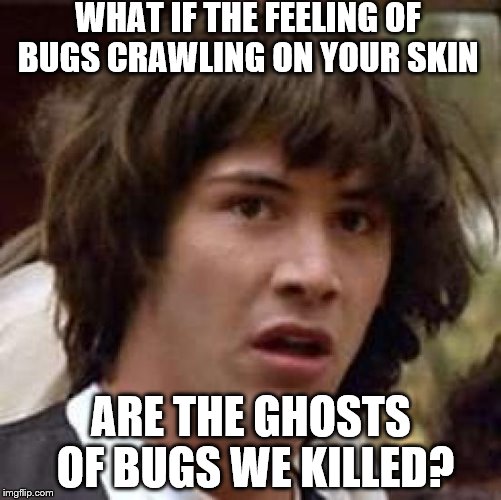 Conspiracy Keanu Meme | WHAT IF THE FEELING OF BUGS CRAWLING ON YOUR SKIN; ARE THE GHOSTS OF BUGS WE KILLED? | image tagged in memes,conspiracy keanu | made w/ Imgflip meme maker