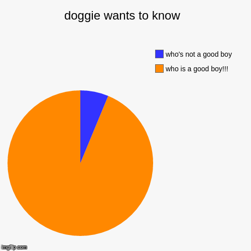 image tagged in funny,pie charts | made w/ Imgflip chart maker