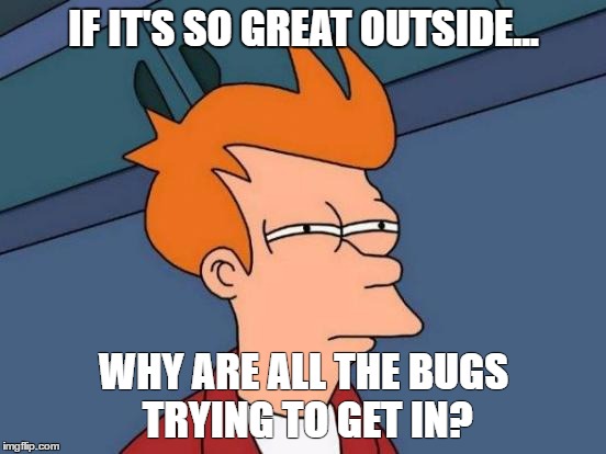 Futurama Fry | IF IT'S SO GREAT OUTSIDE... WHY ARE ALL THE BUGS TRYING TO GET IN? | image tagged in memes,futurama fry | made w/ Imgflip meme maker