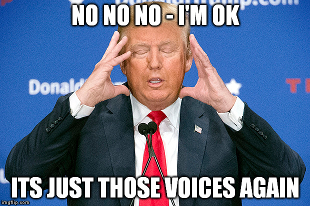 NO NO NO - I'M OK ITS JUST THOSE VOICES AGAIN | made w/ Imgflip meme maker