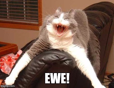 EWE! | made w/ Imgflip meme maker