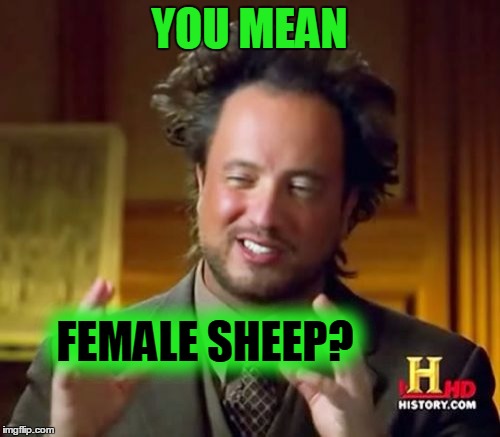 Ancient Aliens Meme | YOU MEAN FEMALE SHEEP? | image tagged in memes,ancient aliens | made w/ Imgflip meme maker