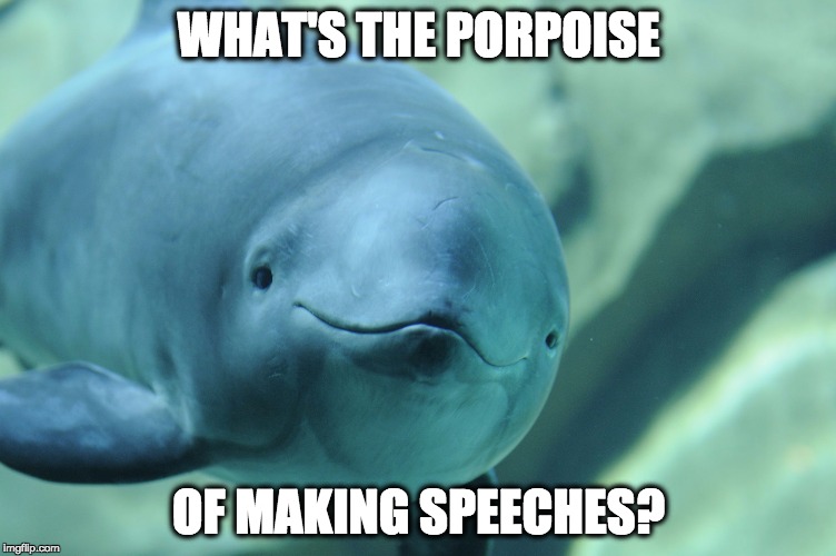 WHAT'S THE PORPOISE; OF MAKING SPEECHES? | image tagged in what's the purpoise | made w/ Imgflip meme maker