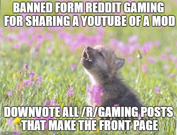 Baby Insanity Wolf Meme | BANNED FORM REDDIT GAMING FOR SHARING A YOUTUBE OF A MOD; DOWNVOTE ALL /R/GAMING POSTS THAT MAKE THE FRONT PAGE | image tagged in memes,baby insanity wolf | made w/ Imgflip meme maker