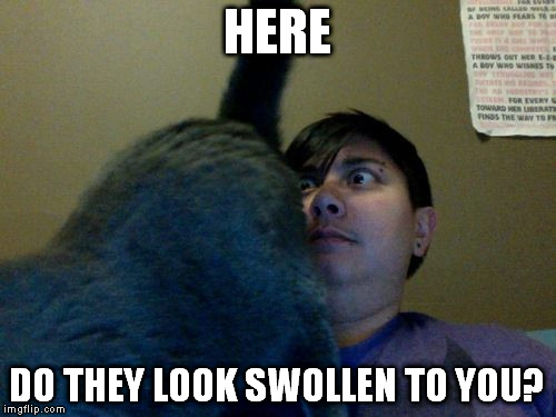 HERE DO THEY LOOK SWOLLEN TO YOU? | made w/ Imgflip meme maker