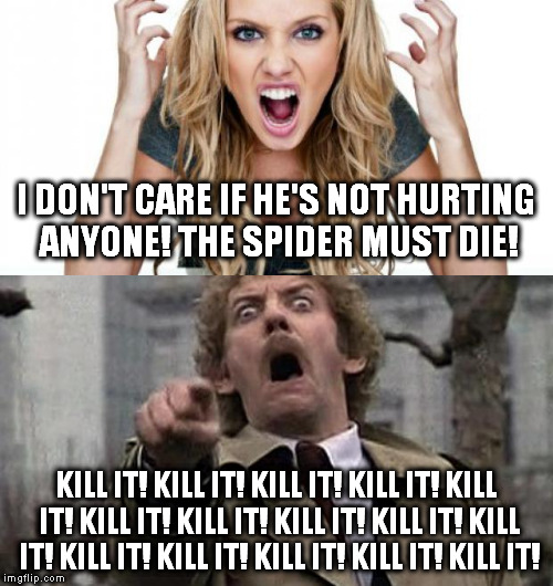 Snuff said. | I DON'T CARE IF HE'S NOT HURTING ANYONE! THE SPIDER MUST DIE! KILL IT! KILL IT! KILL IT! KILL IT! KILL IT! KILL IT! KILL IT! KILL IT! KILL IT! KILL IT! KILL IT! KILL IT! KILL IT! KILL IT! KILL IT! | image tagged in meme,spider | made w/ Imgflip meme maker