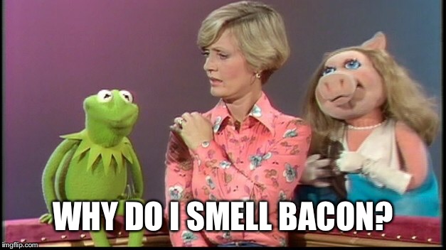 WHY DO I SMELL BACON? | made w/ Imgflip meme maker