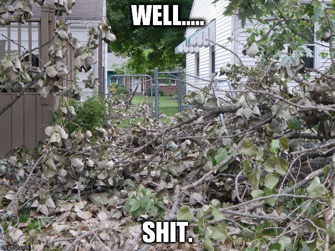 WELL..... SHIT. | image tagged in a tree blocks the way | made w/ Imgflip meme maker