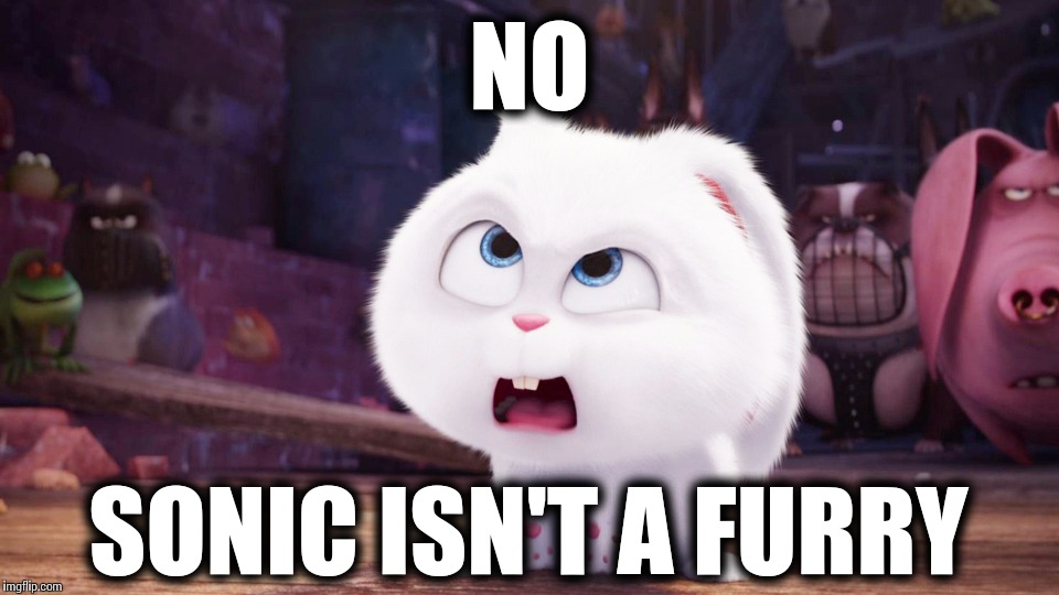 Snowball - The Secret Life of Pets | NO; SONIC ISN'T A FURRY | image tagged in snowball - the secret life of pets | made w/ Imgflip meme maker