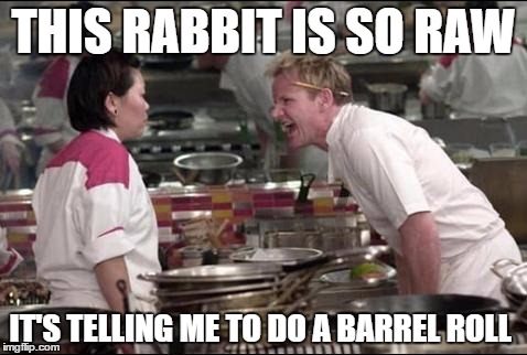 Angry Chef Gordon Ramsay |  THIS RABBIT IS SO RAW; IT'S TELLING ME TO DO A BARREL ROLL | image tagged in memes,angry chef gordon ramsay | made w/ Imgflip meme maker