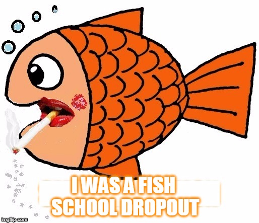 smoking salmon | I WAS A FISH SCHOOL DROPOUT | image tagged in fish,funny,too funny,back to school | made w/ Imgflip meme maker