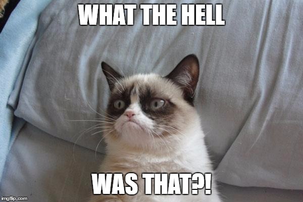 Grumpy Cat Bed | WHAT THE HELL; WAS THAT?! | image tagged in memes,grumpy cat bed,grumpy cat | made w/ Imgflip meme maker
