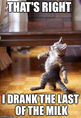 Cool Cat Stroll | THAT'S RIGHT; I DRANK THE LAST OF THE MILK | image tagged in memes,cool cat stroll | made w/ Imgflip meme maker