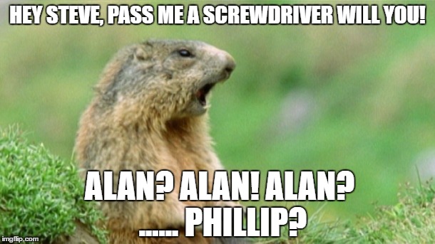 Too many screwdriver types | HEY STEVE, PASS ME A SCREWDRIVER WILL YOU! ALAN? ALAN! ALAN? ...... PHILLIP? | image tagged in alan,steve,phillips head,screwdriver | made w/ Imgflip meme maker