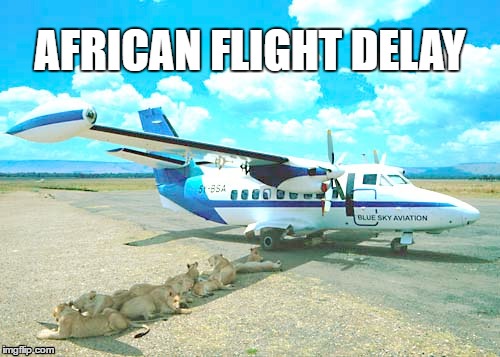 African Flight Delay | AFRICAN FLIGHT DELAY | image tagged in lions,airplane,wings,shadow | made w/ Imgflip meme maker