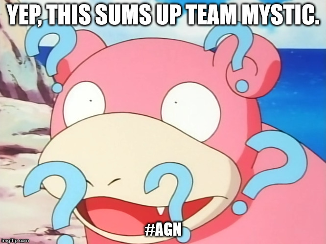 Team Mystic | YEP, THIS SUMS UP TEAM MYSTIC. #AGN | image tagged in slowpoke,team mystic,confused,special kind of stupid,pokemon | made w/ Imgflip meme maker
