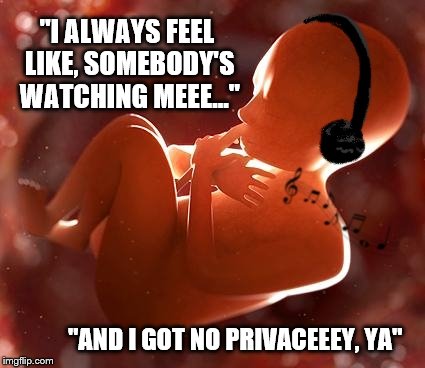 Jammin to Michael Jackson.  | "I ALWAYS FEEL LIKE, SOMEBODY'S WATCHING MEEE..."; "AND I GOT NO PRIVACEEEY, YA" | image tagged in fetus,pro life,michael jackson | made w/ Imgflip meme maker